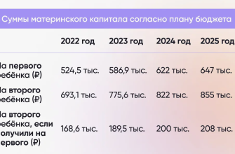 На фото суммы выплаты материнского капитала по годам до 2025г. с учётом инфляции в стране.